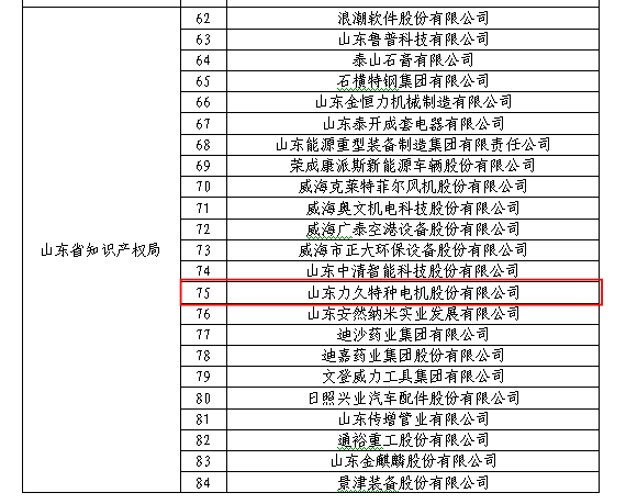 山东平博特种电机股份有限公司